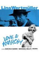 Love and Anarchy poster image