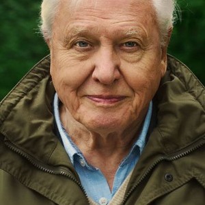 David Attenborough: A Life on Our Planet photo 12