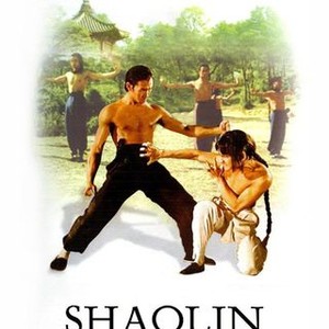 Shaolin Martial Arts photo 11