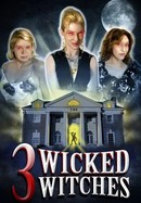 3 Wicked Witches poster image