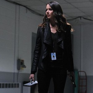 Amy Acker - Rotten Tomatoes