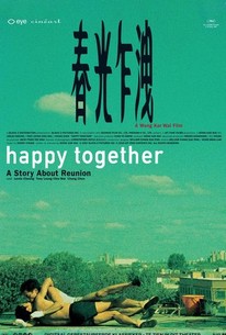 Happy Together poster