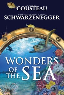 その他 Nature: Ocean Wonders [DVD] Amazon.com: Ocean Wonders : None, John Stoneman: Movies & TV