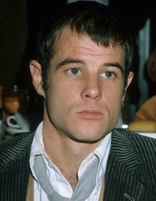 Brad Davis Rotten Tomatoes
