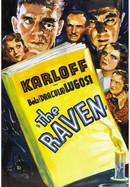 The Raven poster image