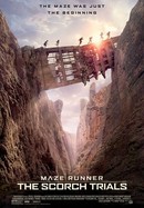 Maze Runner: The Scorch Trials poster image