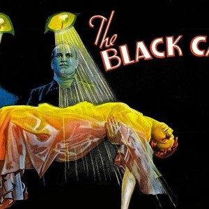 The Black Cat photo 5