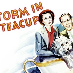 a storm in a teacup examples