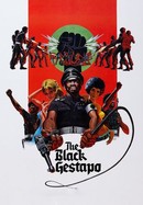 The Black Gestapo poster image