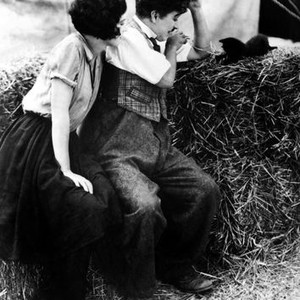 THE CIRCUS, from left: Merna Kennedy, Charlie Chaplin, 1928