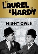 Night Owls poster image