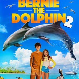 Bernie the Dolphin 2 photo 3