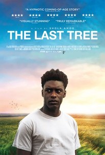 Watch trailer for The Last Tree