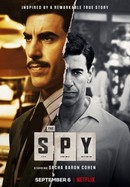 The Spy poster image