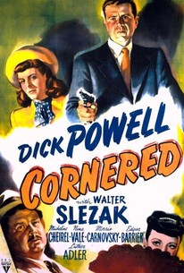Poster for Cornered