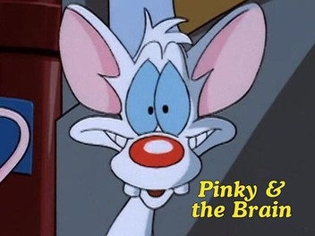 Opening to Pinky and The Brain Mice Of The Jungle 1997 VHS 