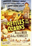 The Kettles in the Ozarks poster image