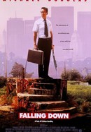 Falling Down poster image