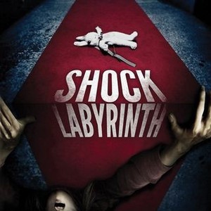 The Shock Labyrinth photo 7