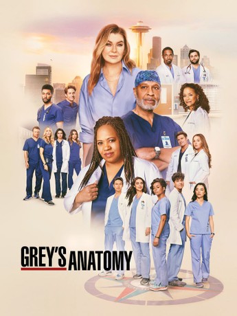 Grey's Anatomy: Season 21, Episode Rotten Tomatoes
