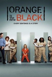 Orange Is the New Black: Season 1 poster image