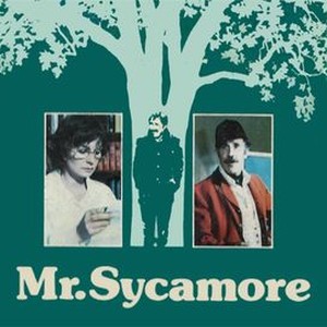 "Mr. Sycamore photo 4"