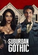 Cat Run Rotten Tomatoes