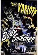 The Body Snatcher poster image