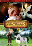 The Velveteen Rabbit poster image