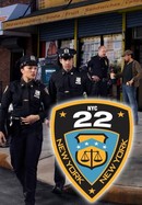 NYC 22 poster image
