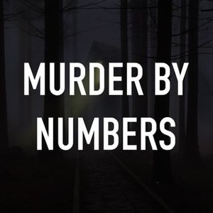 Murder by Numbers photo 3
