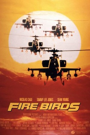 Fire Birds poster