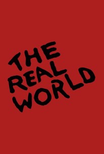 The Real World: Season 16 poster image