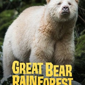 Great Bear Rainforest Land Of The Spirit Bear Rotten Tomatoes