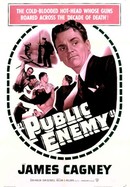 The Public Enemy poster image