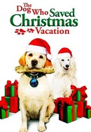 The Dog Who Saved Christmas Vacation poster image