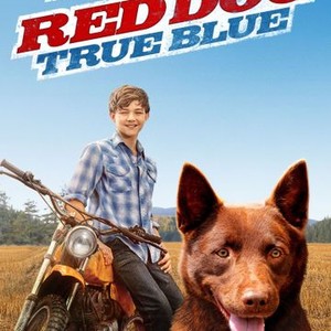 Red Dog: True Blue - Rotten Tomatoes