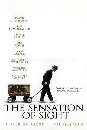 The Sensation of Sight poster