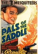Pals of the Saddle poster image