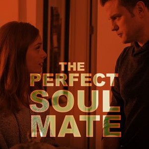 The Perfect Soulmate (2017)