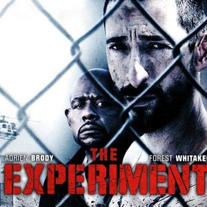 the experiment 2010 rotten tomatoes