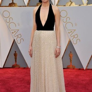 Michelle Williams at arrivals for The 89th Academy Awards Oscars 2017 - Arrivals 2, The Dolby Theatre at Hollywood and Highland Center, Los Angeles, CA February 26, 2017. Photo By: Elizabeth Goodenough/Everett Collection