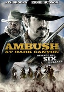 Ambush at Dark Canyon poster image