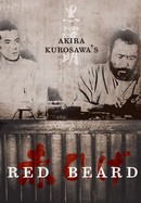 Red Beard poster image