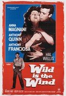 Wild Is the Wind poster image