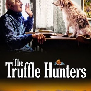 "The Truffle Hunters photo 13"