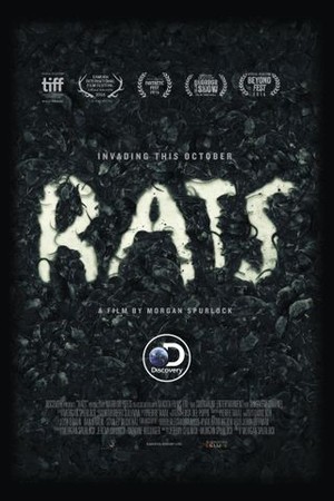 Rats poster