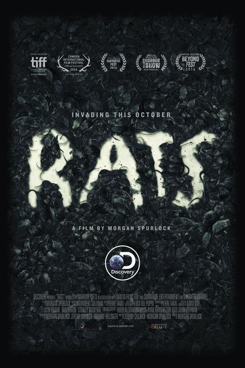 Rats poster