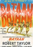 Bataan poster image