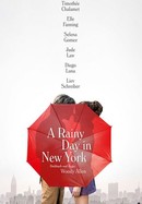A Rainy Day in New York poster image